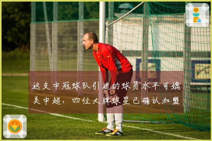 这支中冠球队引进的球员水平可媲美中超，四位大牌球星已确认加盟，荣昊成为焦点。