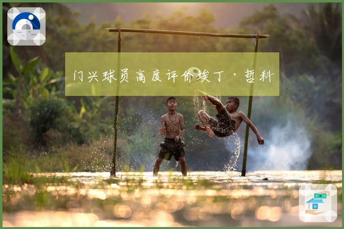 门兴球员高度评价埃丁·哲科